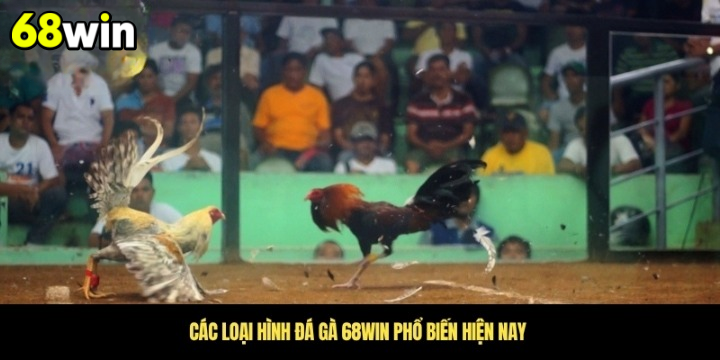 Ưu điểm đá gà cựa dao tại 68Win 